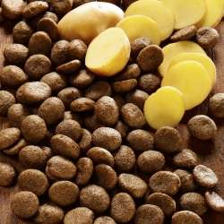 Produkt Test Titelbild