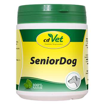 tests-cdVet SeniorDog-Bild