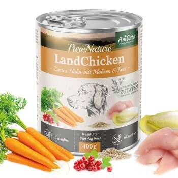 Produkt Test Titelbild