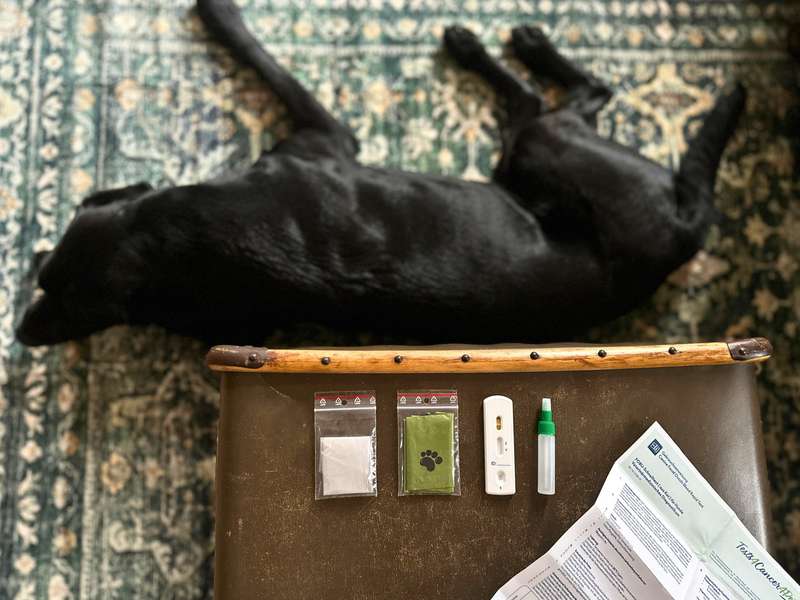 Testkit FOBU Schnelltest Hund