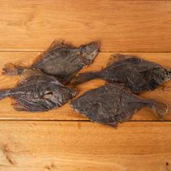 Produkt Test Titelbild