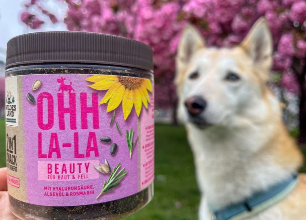 tests-Futtertest: Wildes Land BEAUTY 2in1 Snack mit Benefit – Für Haut & Fell | Dogorama Erfahrungsbericht inklusive Community und Tierarzt Bewertung-Bild