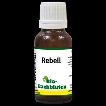 Produkt Test Titelbild