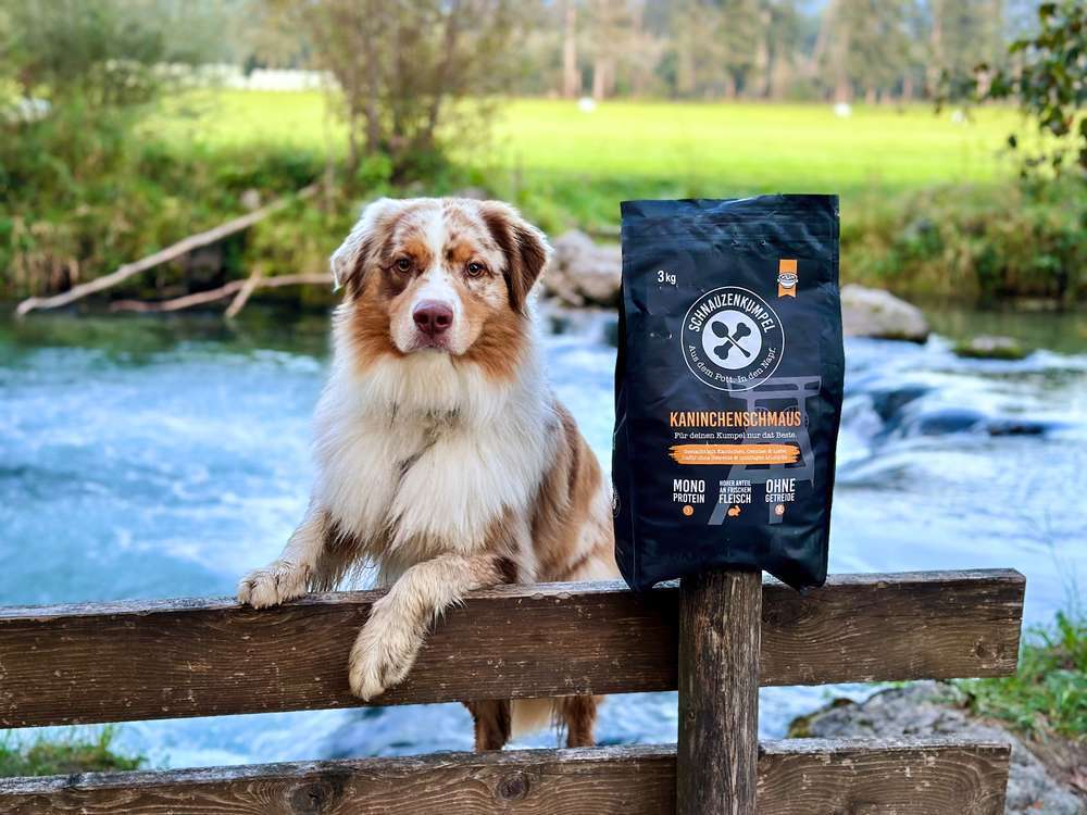 tests-Wie gut ist das Trockenfutter von Schnauzenkumpel | Monoprotein-Futter Kaninchenschmaus im Dogorama Test 2024-Bild