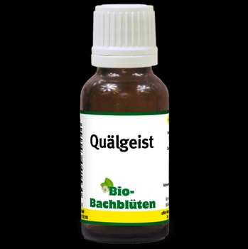 Produkt Test Titelbild