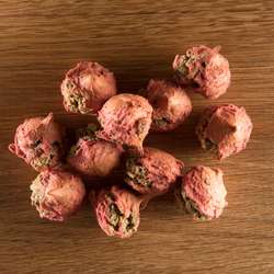 Produkt Test Titelbild