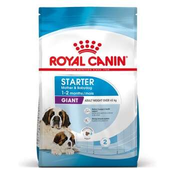 tests-Royal Canin Giant Starter-Bild