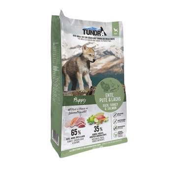 tests-Tundra Dog Puppy-Bild