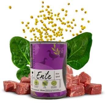 Produkt Test Titelbild