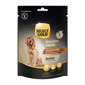 Produkt Test Titelbild