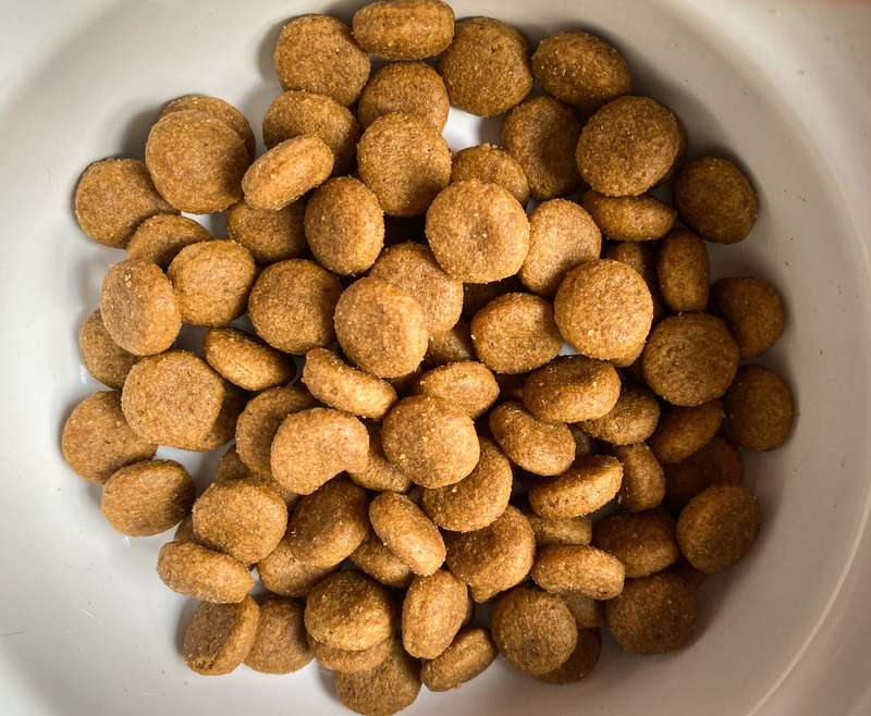 Nahaufnahme des Trockenfutters