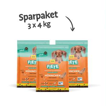 Produkt Test Titelbild