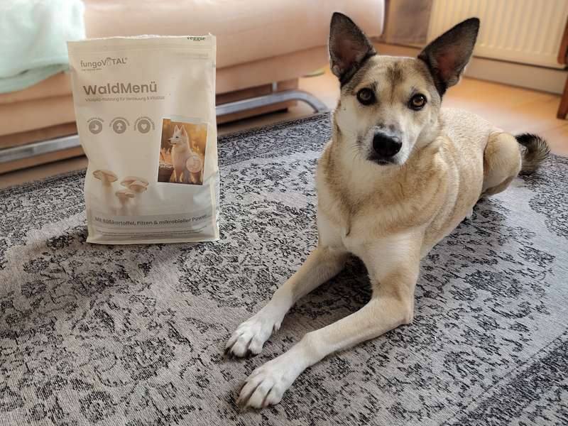 fungoVITAL WaldMen&uuml; Trockenfutter im Test mit Hund mit Unvertr&auml;glichkeiten