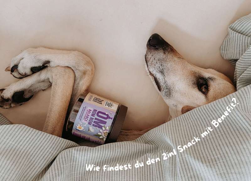 Tadashi liegt im Bett, BALANCE Snack daneben 