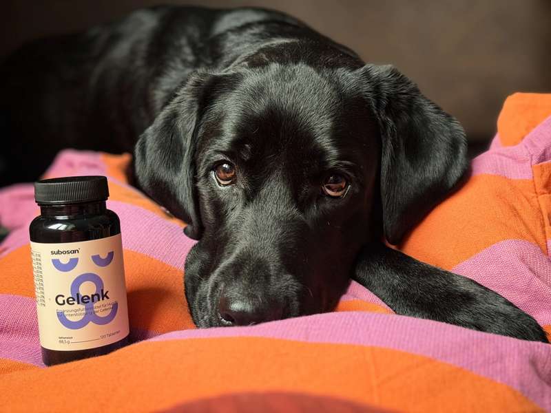 Sali mit den subosan Gelenktabletten