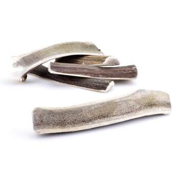 Produkt Test Titelbild