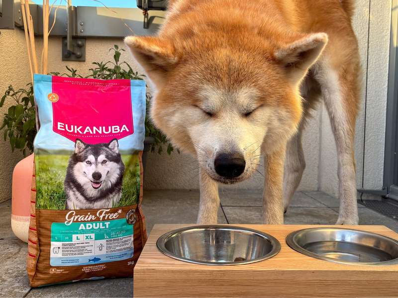 EUKANUBA Trockenfutter mit Seefisch getreidefrei im Test mit Akita Aiko