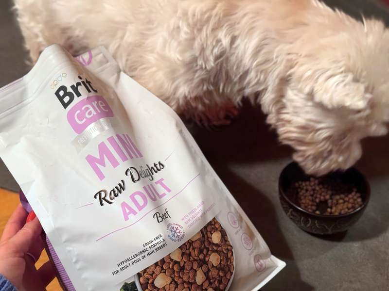 Brit Care Mini Trockenfutter f&uuml;r kleine Hunde Erfahrungen mit Westie Romeo