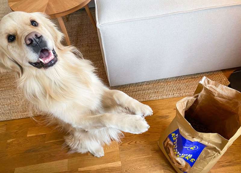 Hund macht Männchen neben offenem Futtersack