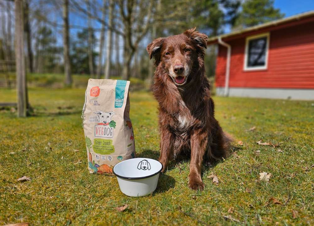 tests-Wie gut ist veganes Trockenfutter? VEGDOG Green Crunch im Dogorama Test | Tierarztmeinung und Community Test-Bild