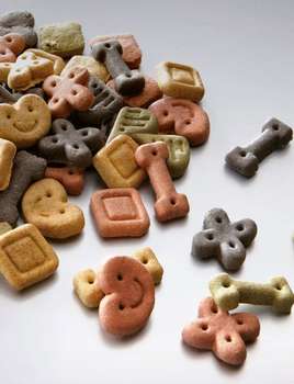 Produkt Test Titelbild