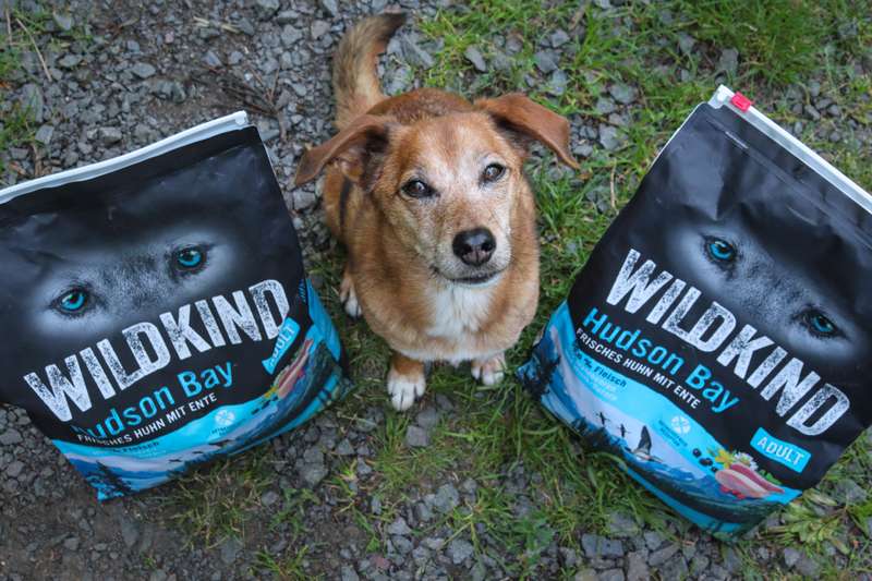 Nova sitzt zwischen den beiden WILDKIND Beuteln