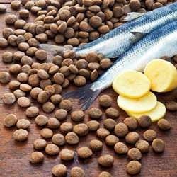 Produkt Test Titelbild