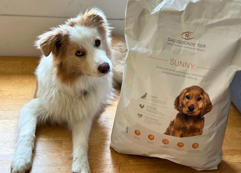 Maxi mit dem Das Gesunde Tier Welpenfutter SUNNY