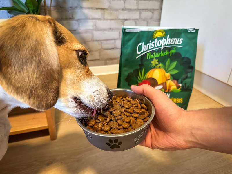 Emma frisst das Trockenfutter von Christopherus aus ihrer Schüssel