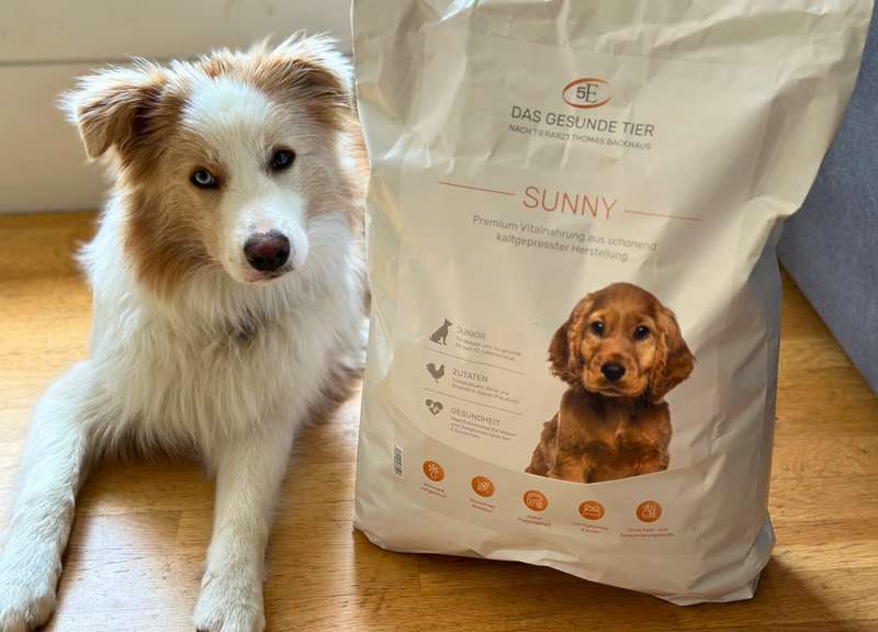 Maxi mit dem Das Gesunde Tier Welpenfutter SUNNY