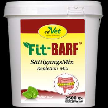 Produkt Test Titelbild