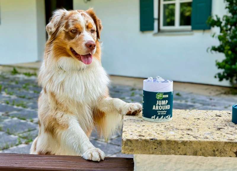 Luki macht neben den Snacks Männchen