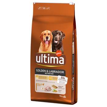 tests-Ultima Hund Golden & Labrador Retriever Huhn-Bild