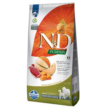 Produkt Test Titelbild