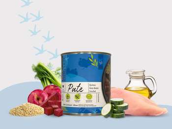 tests-FAVLY Petfood Nassfutter Pute mit Quinoa, Rote Beete & Fenchel-Bild