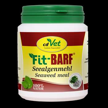 Produkt Test Titelbild