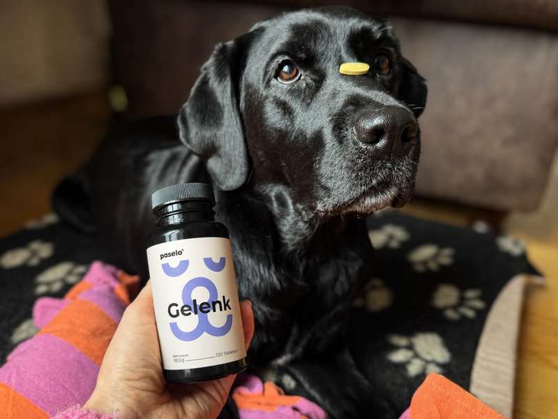  Sali mit den paselo Gelenktabletten 