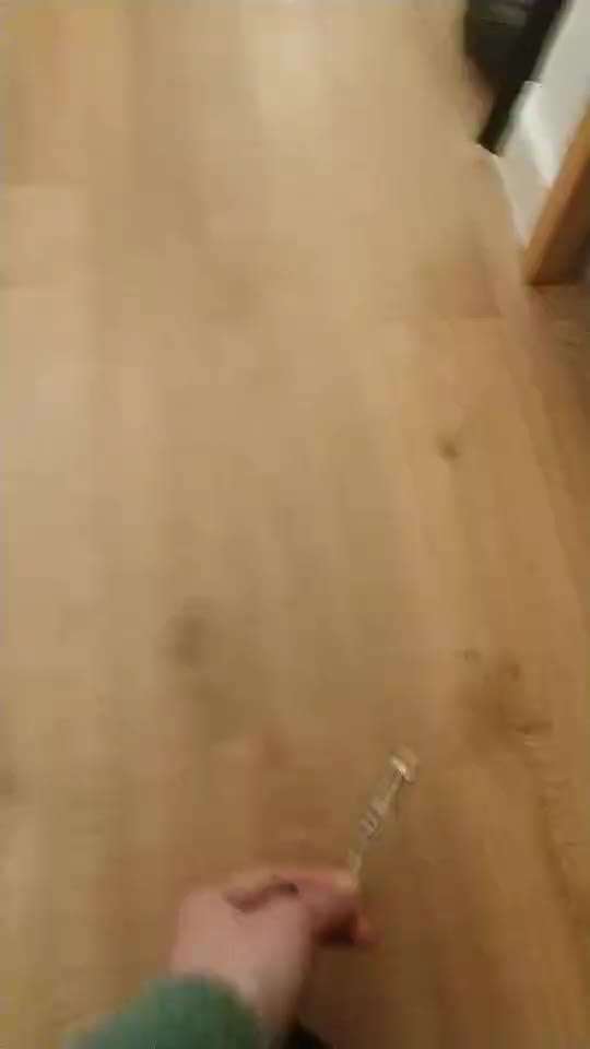 Impulskontrolle-Challenge Nr. 2: Vorbei laufen-Beitrag-Bild