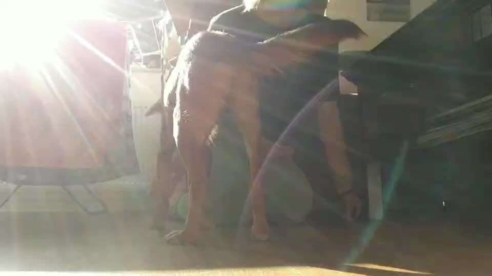 Eure liebsten Tricks-Beitrag-Bild