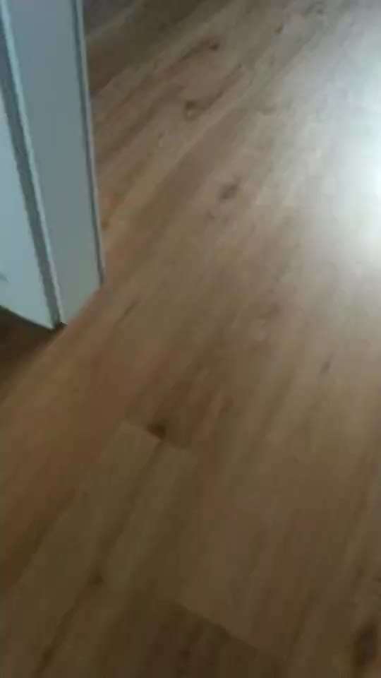 Impulskontrolle Challenge Nr. 5: Lekkerli zurück bringen-Beitrag-Bild