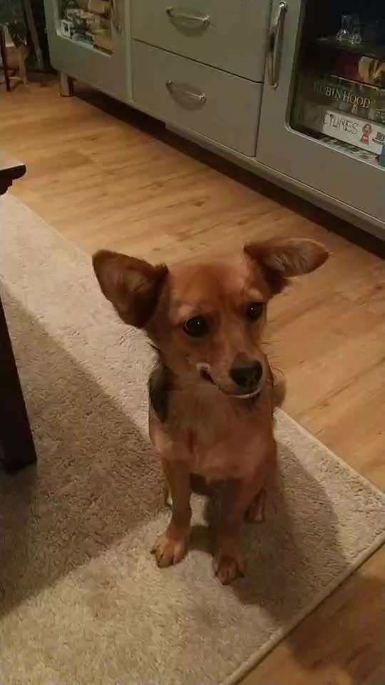 Trick Challenge ABC-Beitrag-Bild