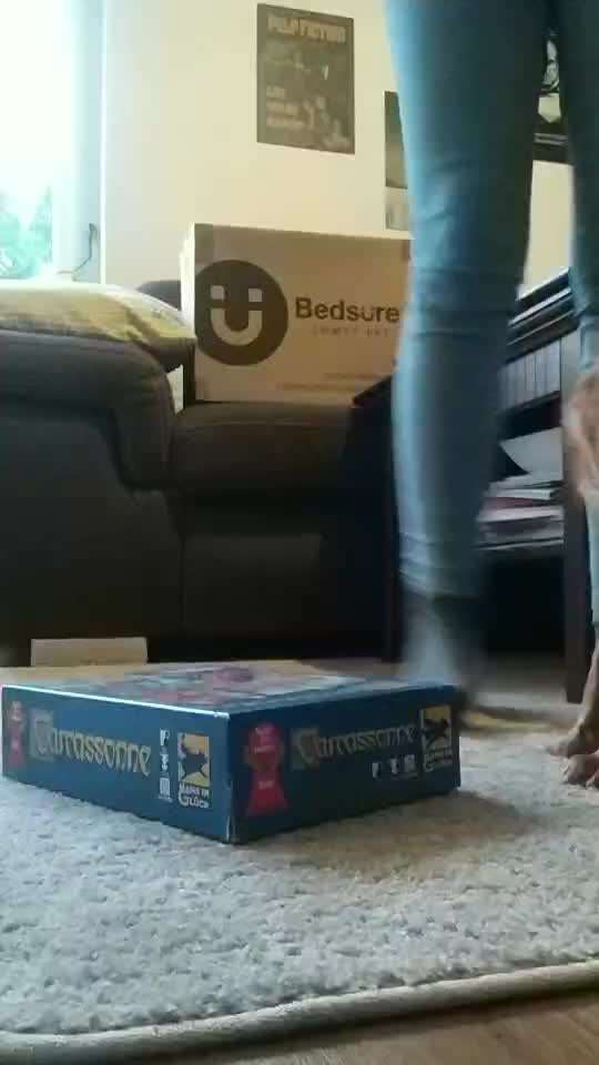 Trick Challenge 24 ,,Elefantentrick"-Beitrag-Bild