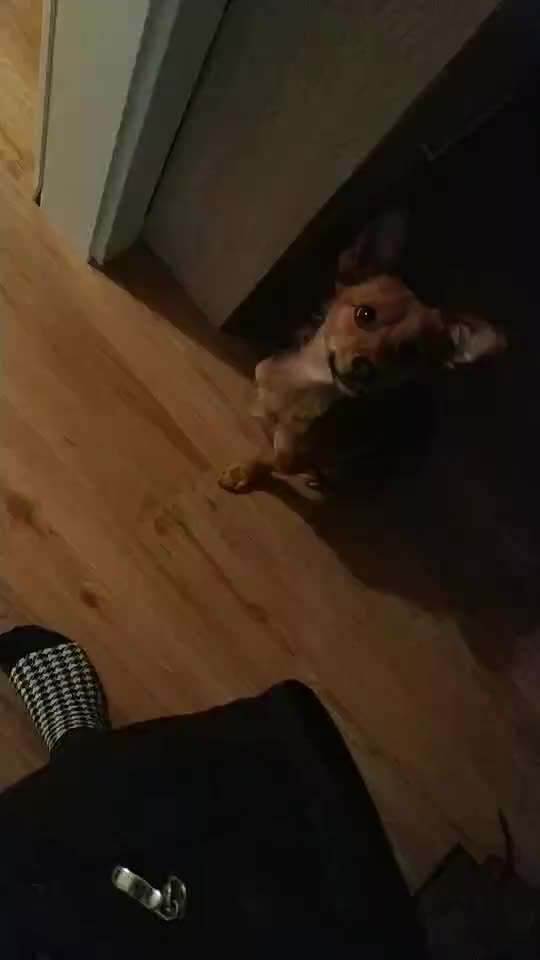 Trick Challenge NR 22 "Ziehen"-Beitrag-Bild