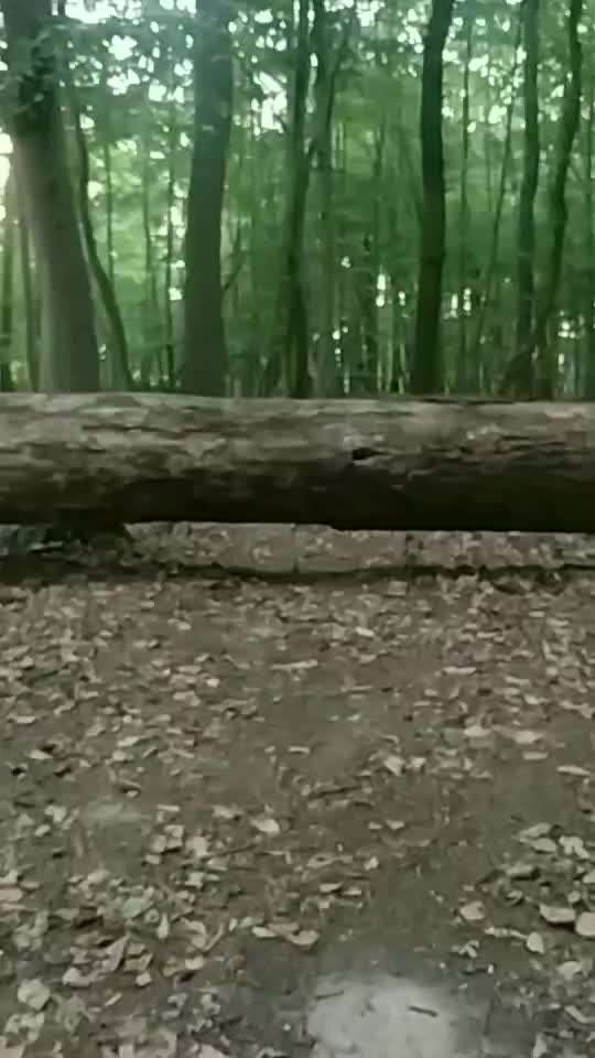 15. Video Challenge.  In SloMo die Welt erkunden!-Beitrag-Bild