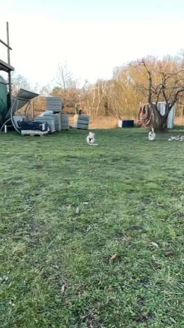 15. Video Challenge.  In SloMo die Welt erkunden!-Beitrag-Bild