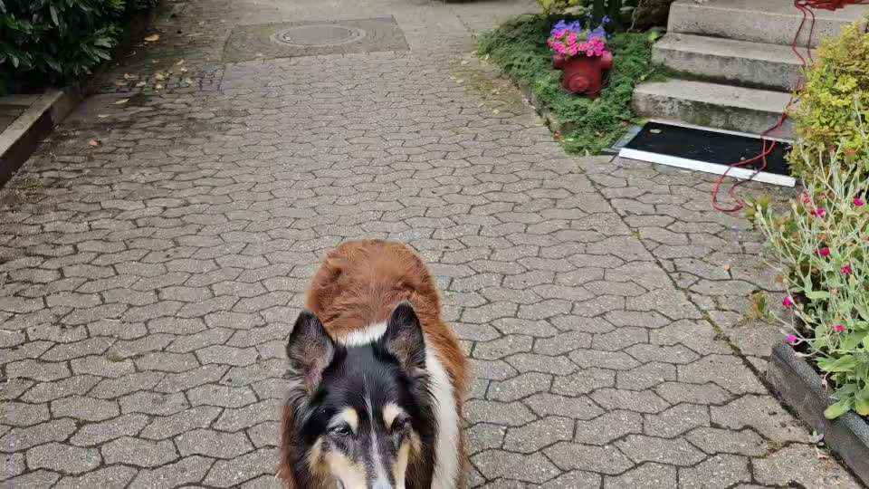 56. Impulskontrollchallenge : Ich warte auf dich !-Beitrag-Bild