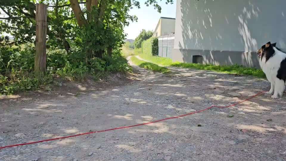 54. Impulskontrollchallenge  PAUSE MACHEN !-Beitrag-Bild