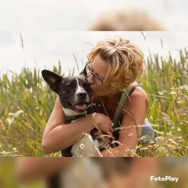 Unsere Fellnasen im Regenbogenland-Beitrag-Bild