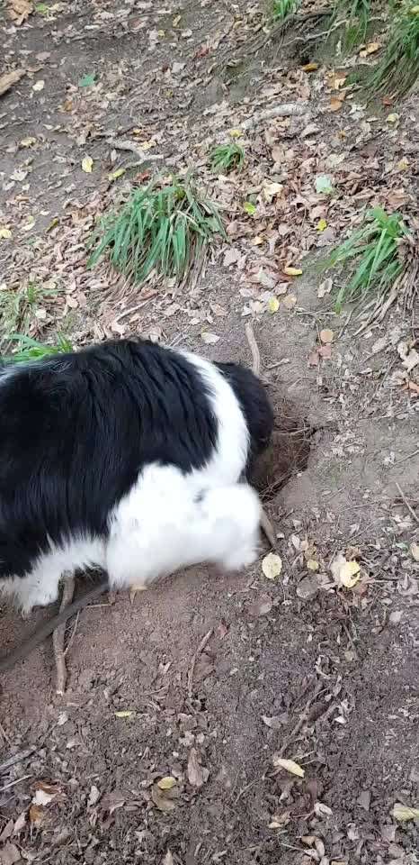 Zutreffende "Vorurteile"?-Beitrag-Bild