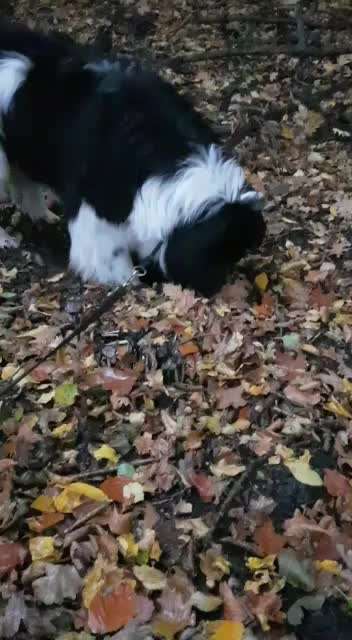 Buddeln im Garten-Beitrag-Bild